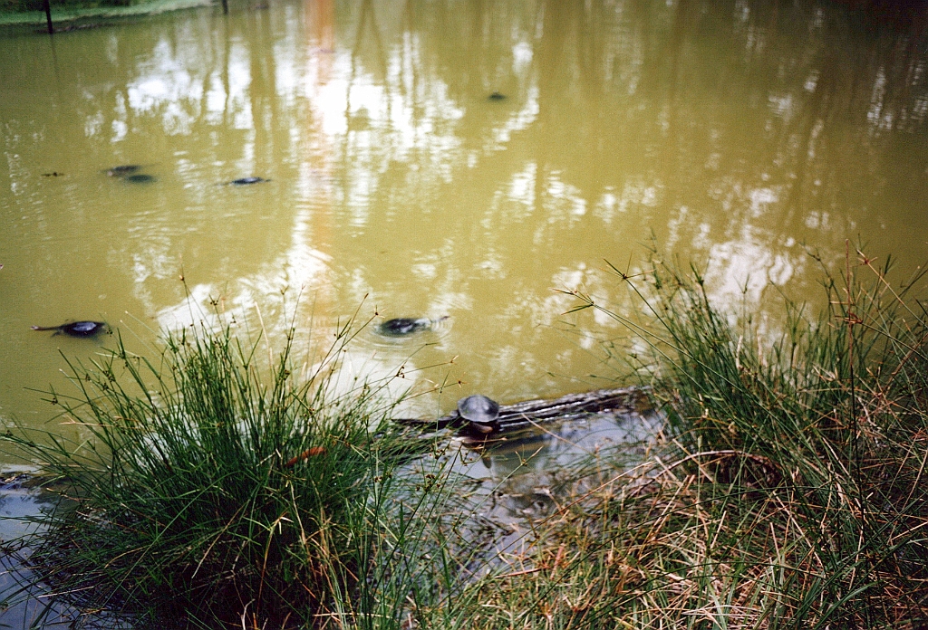 2000 - Australie 112G.jpg